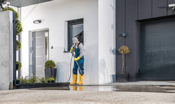 Best Animal Enclosure Cleaning  in Orange Park, FL